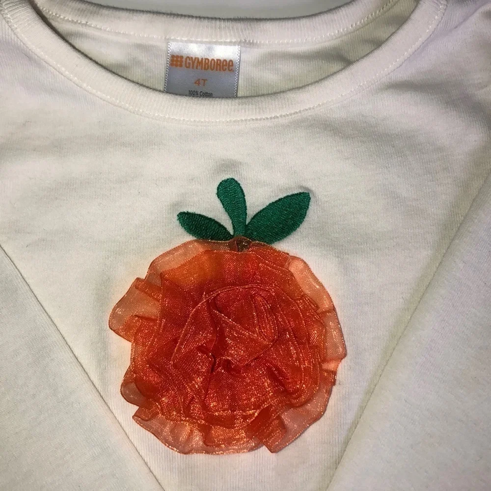 Gymboree pumpkin top 🛍